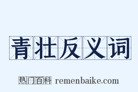 青壮反义词是什么意思的图片